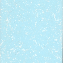 白雪花1181P